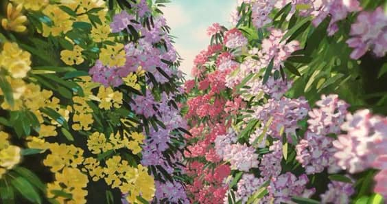 Field of Flowers